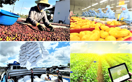 Xuất khẩu nông, lâm, thủy sản đạt 11,3 tỷ USD trong 2 tháng đầu năm