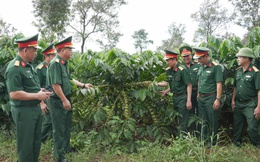 Công ty cà phê 15 nỗ lực kiến tạo nông nghiệp xanh