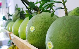 Trái bưởi Việt Nam được phép nhập khẩu vào Australia