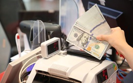 Kiều hối về TP.HCM giảm mạnh trong quý 1/2026