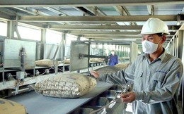 Xuất khẩu xi măng và clinker duy trì xu hướng tăng trưởng ổn định trong quý I