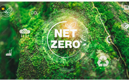 Cuộc đua “Net Zero” và áp lực lên hạ tầng khu công nghiệp