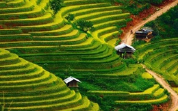 Mù Cang Chải lần đầu tổ chức giải leo ruộng bậc thang mùa nước đổ, tạo điểm nhấn du lịch dịp lễ