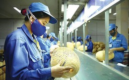 Chỉ 20-25% doanh nghiệp SME tiếp cận được tín dụng ngân hàng
