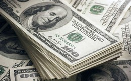 Tỷ giá USD hôm nay 7/4: Tỷ giá trung tâm tăng 2 đồng