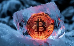 Giá Bitcoin hôm nay 14/5: Bitcoin hướng tới mức 93.000 USD