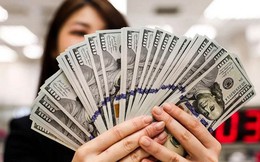 Tỷ giá USD hôm nay 14/5: Tỷ giá trung tâm tăng 3 đồng