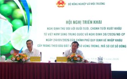 Trung Quốc mở cửa chính ngạch cho bưởi và chanh tươi Việt Nam