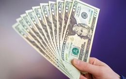 Tỷ giá USD hôm nay 19/5: Tỷ giá trung tâm tăng 2 đồng