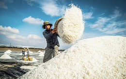 Xây dựng  khung pháp lý linh hoạt để phát triển ngành muối bền vững