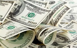 Tỷ giá USD hôm nay 5/5: Tỷ giá trung tâm giảm 1 đồng