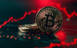 Giá Bitcoin hôm nay 11/6: Bitcoin như “chim hoàng yến trong mỏ than”