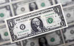 Tỷ giá USD hôm nay 10/6: Tỷ giá trung tâm tăng 2 đồng
