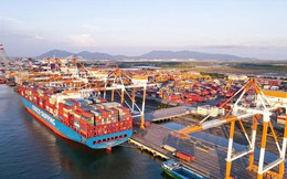 Cảng Cái Mép và Hải Phòng lọt top 20 cảng container hiệu quả nhất thế giới năm 2025
