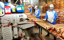 Doanh nghiệp gỗ chủ động thích ứng các rào cản thương mại mới chinh phục thị trường Bắc Mỹ