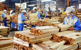 Xuất khẩu gỗ tăng trưởng nhưng vẫn đối mặt nhiều thách thức