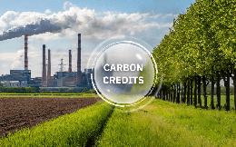 5 CTCK đầu tiên được phép tham gia thị trường carbon