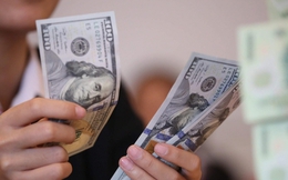 Dự trữ ngoại hối đạt gần 87,6 tỷ USD