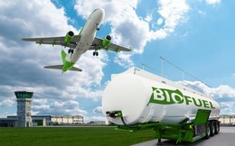 Việt Nam phấn đấu trở thành quốc gia xuất khẩu SAF  lớn thứ ba ASEAN