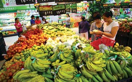 Xuất khẩu rau quả 6 tháng ước đạt 3,65 tỷ USD