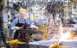 Tổng vốn đầu tư của Việt Nam ra nước ngoài đạt gần 795 triệu USD