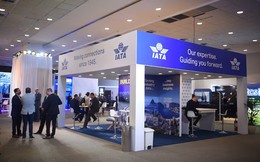IATA hạ dự báo lợi nhuận ngành hàng không trong năm 2026