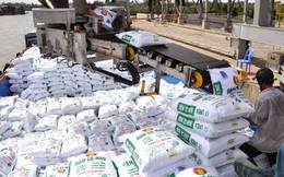 Xuất khẩu phân bón đạt 933 triệu USD trong nửa đầu năm