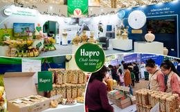 Hạt điều rang Hapro: Từ tiêu chuẩn xuất khẩu đến lựa chọn của người tiêu dùng Việt