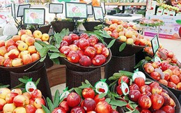 Mỹ hiện là nhà cung cấp nông sản lớn thứ hai cho Việt Nam