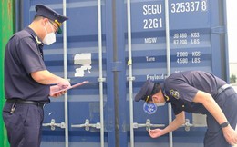 Từ 15/9, nhiều thủ tục phân loại hàng hóa xuất nhập khẩu được đơn giản hóa