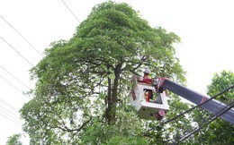 Chủ động sử dụng điện an toàn để bảo vệ chính mình