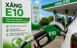 Hà Nội sẽ kiểm tra, giám sát chất lượng xăng sinh học E10