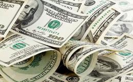 Tỷ giá USD hôm nay 28/7: Tỷ giá trung tâm ở mức 25.306 đồng