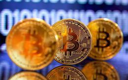 Giá Bitcoin hôm nay 30/7: Bitcoin có thể tăng gấp 100 lần
