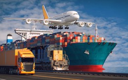 6 tháng đầu năm, hoạt động vận tải tiếp tục duy trì đà tăng trưởng tích cực
