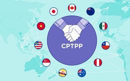 Doanh nghiệp cần được hỗ trợ nhiều hơn để khai thác hiệu quả CPTPP