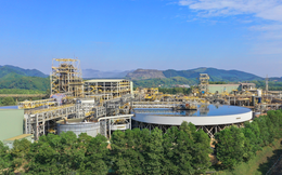 MSR ghi nhận lợi nhuận kỷ lục Quý II/2026