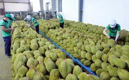 Xuất khẩu rau quả lần đầu vượt 1 tỷ USD trong một tháng