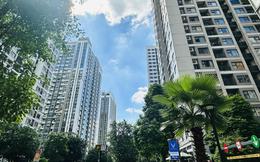 Cuộc đua thị phần nguồn cung giữa các "ông lớn" địa ốc
