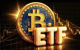 Giá Bitcoin hôm nay 6/7: ETF Bitcoin lập kỷ lục bị rút vốn 8 tuần liên tiếp 