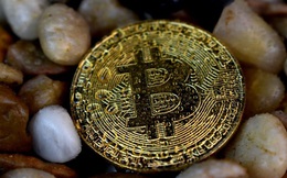 Giá Bitcoin hôm nay 7/7: Giá không chỉ biến động bởi các kì halving