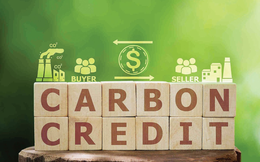 Có 8 công ty chứng khoán đăng ký làm thành viên lưu ký carbon