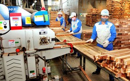 Xuất khẩu gỗ và sản phẩm gỗ của Việt Nam đạt hơn 10 tỷ USD sau 7 tháng