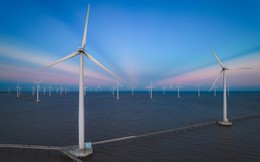 Cà Mau chấp thuận chủ trương đầu tư 3 dự án nhà máy điện gió với tổng công suất 170 MW