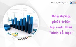 Xây dựng, phát triển hệ sinh thái “kinh tế bạc”