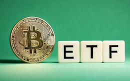 Giá Bitcoin hôm nay 3/8: ETF Bitcoin hút vốn trở lại
