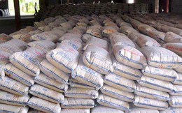 Thị trường xi măng bước vào giai đoạn phục hồi mạnh