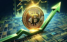 Giá Bitcoin hôm nay 25/8: Dòng tiền mới tiếp sức Bitcoin
