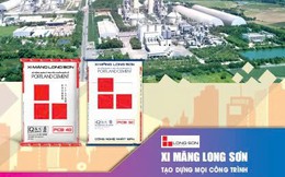 Công ty xi măng Long Sơn chúc mừng Quốc Khánh ngày 2/9