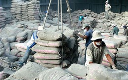 Việt Nam vươn lên vị trí thứ hai trong nhóm các nhà cung cấp xi măng cho Mỹ